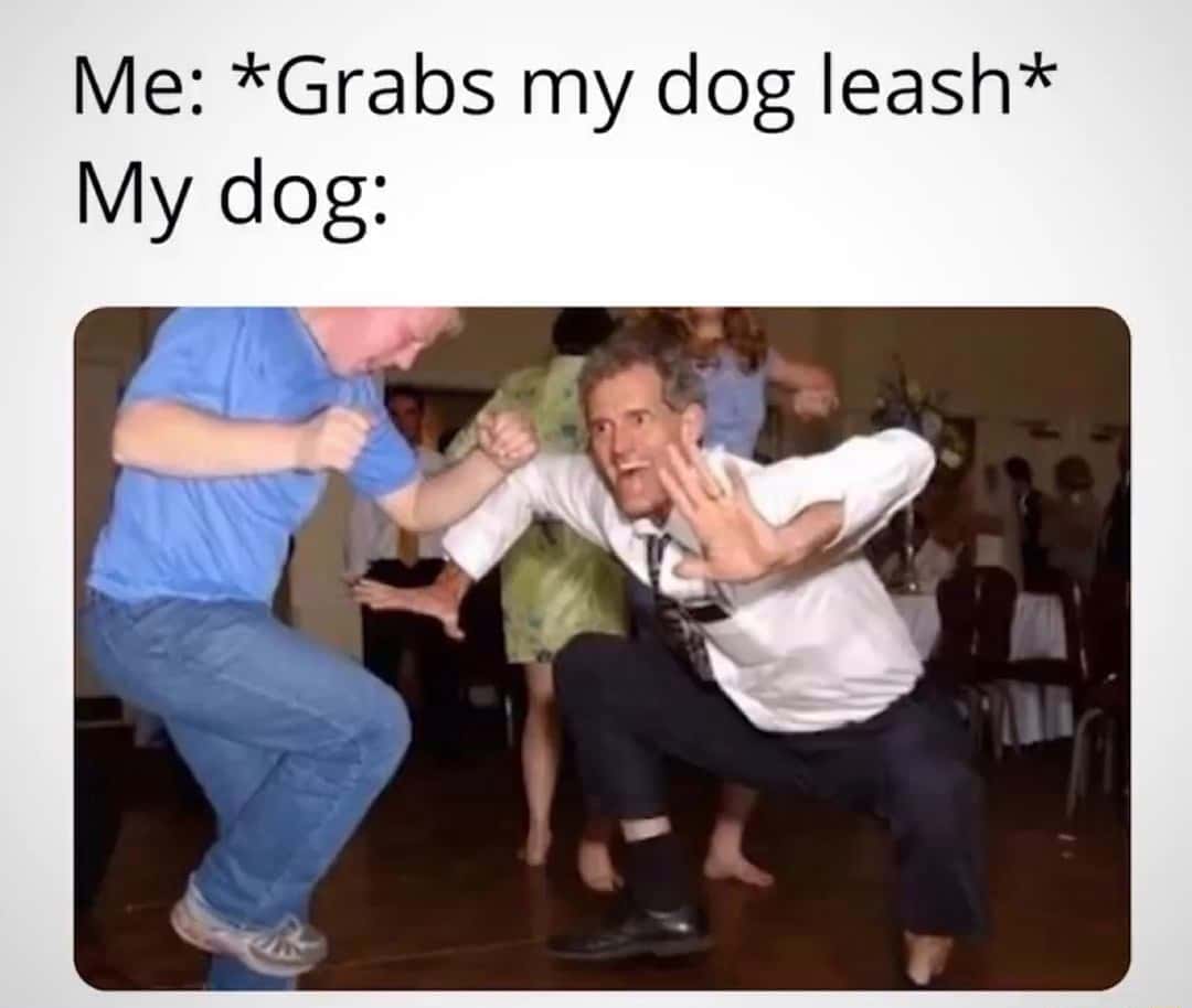 Dance dad meme hyped when grabbing dog leash