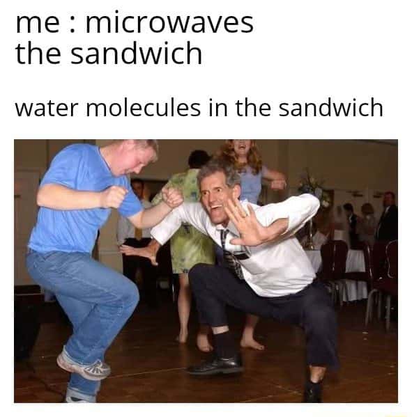 The jig meme dancing in microwaved sandwich
