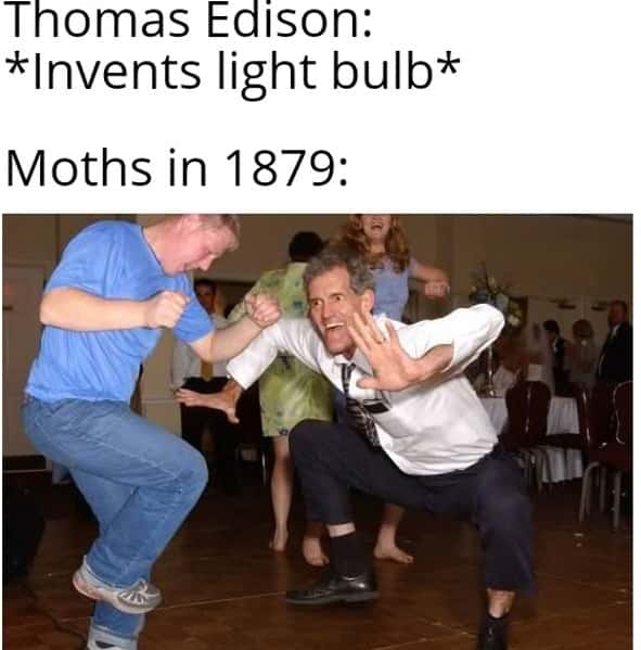 Moths meme going crazy after edison invents light bulb