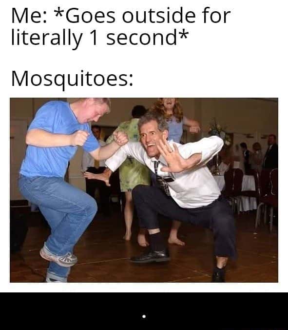Mosquitoes meme attacking you when you go out