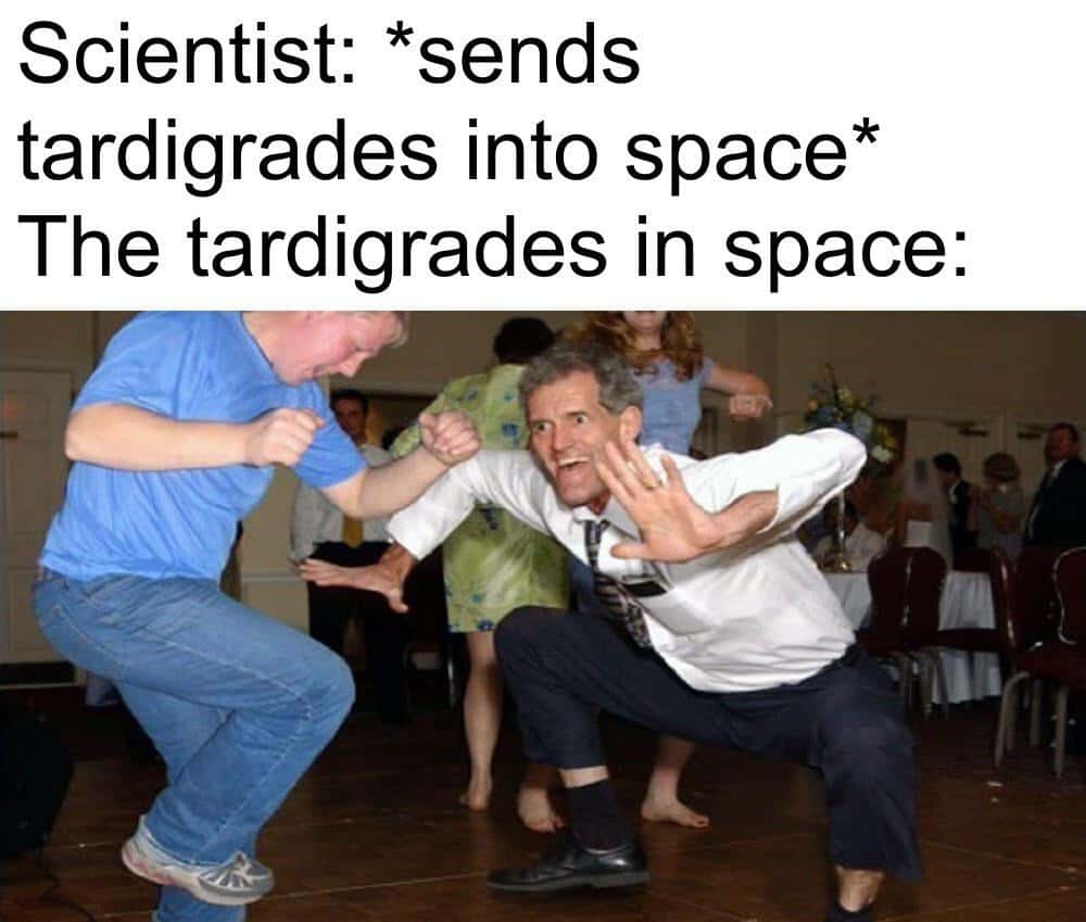 The jig meme tardigrades in space dancing happily