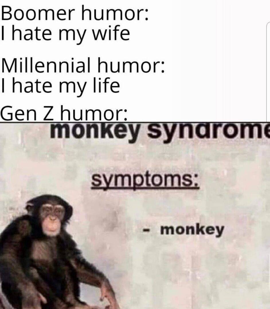 Different Generations Humor Styles Monkey Syndrome Meme