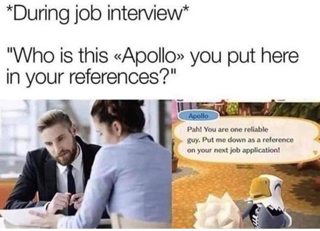 Apollo Animal Crossing Job Reference Meme