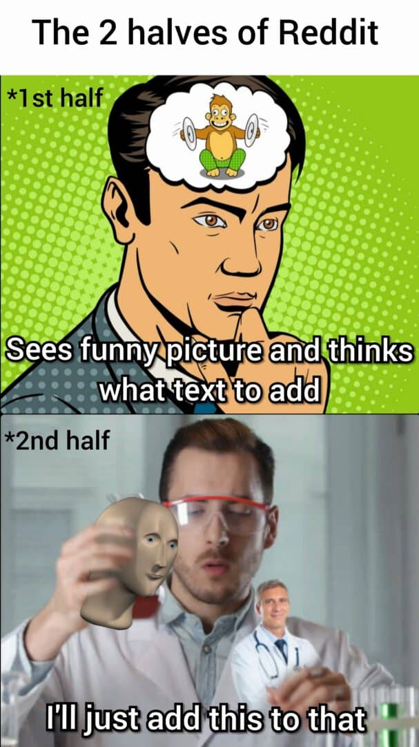 Funny reddit meme showing two types of users