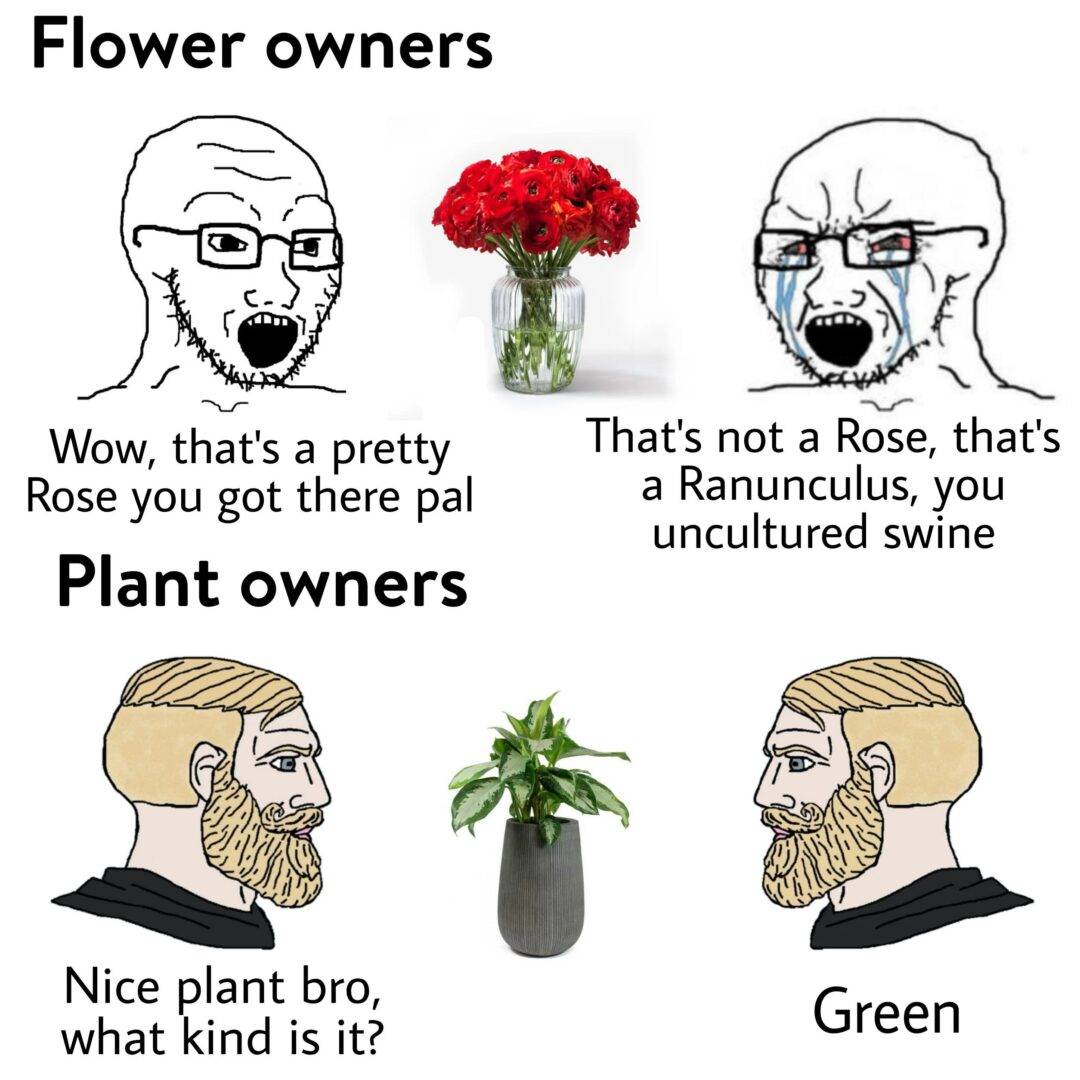 Relatable Meme About How Flower Vs Plant Owners React To Compliments