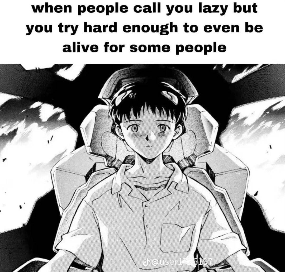 Shinji Ikari Meme When People Call You Lazy