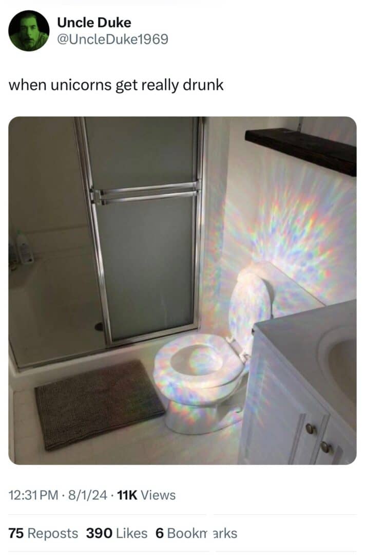 When Unicorns Get Really Drunk Meme