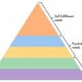 19 Hilarious Hierarchy of Needs Meme Examples & Template