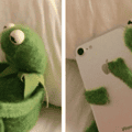 16 Best Kermit Hugging Phone Memes for Your Wholesome Collection