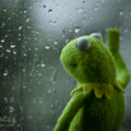 23 Kermit Window Meme Examples & Templates to Capture Your Quietest Moments