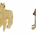 18 Buff Doge vs. Cheems Memes Dealing With Our Modern Fragility