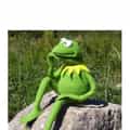 12 Kermit Thinking Memes That Target Your Self-Doubt
