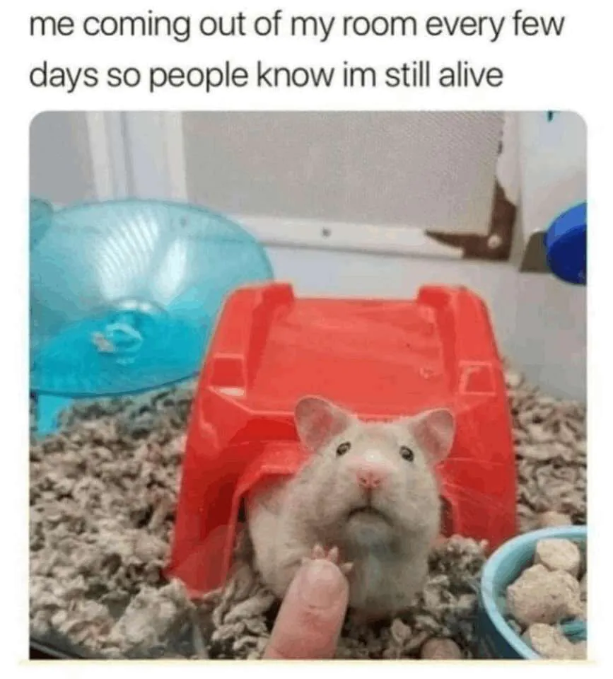 me coming out of my room every few days so people know im still alive