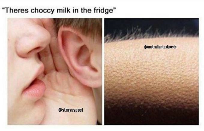 Whisper in Ear Goosebumps Meme: Theres choccy milk in the fridge
