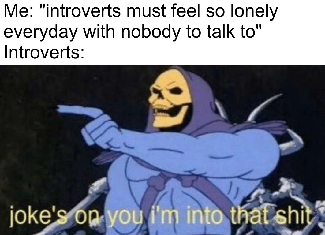 Joke's On You, I'm Into That Shit Meme: Introverts Love Loneliness No Talk Needed Skeletor