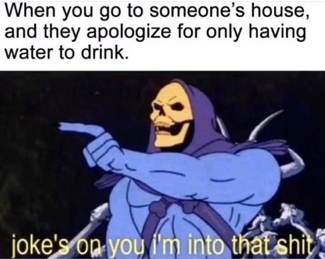 Joke's On You, I'm Into That Shit: Water Only Apology House Visit Skeletor Meme