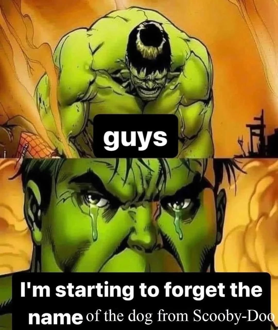 Crying Hulk Meme: guys I'm starting to forget the name of the dog from Scooby-Doo