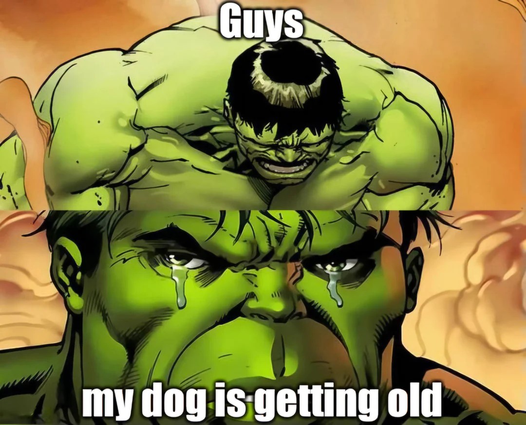 Crying Hulk Meme: Guys my dog is getting old