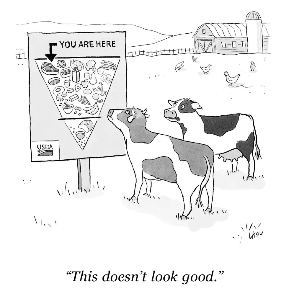 YOU ARE HERE / "This doesn't look good."