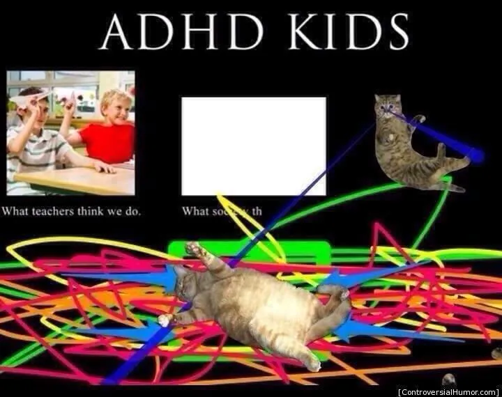 ADHD KIDS / What teachers think we do. / What soth