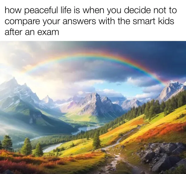 how peaceful life is when you decide not to compare your answers with the smart kids after an exam