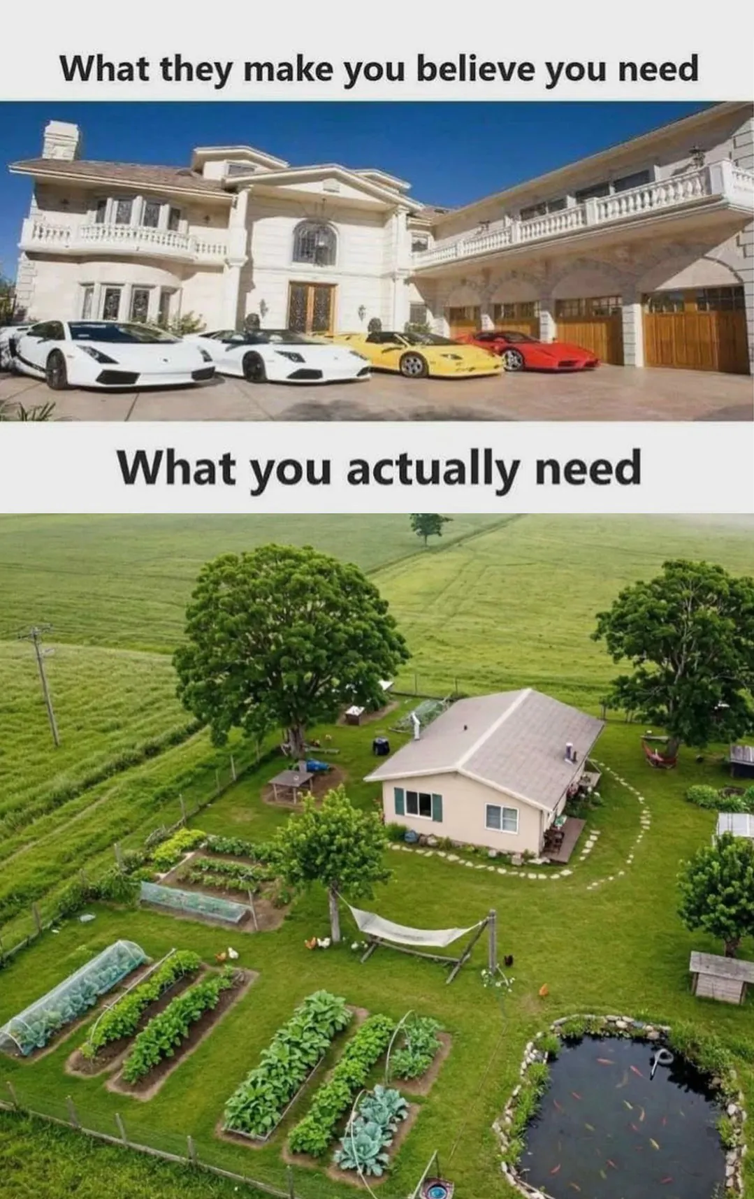 What they make you believe you need / What you actually need