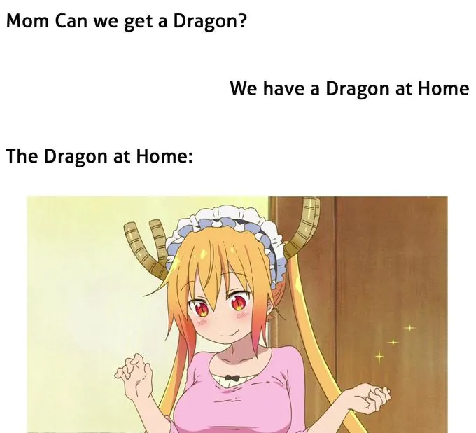 Mom Can we get a Dragon? / We have a Dragon at Home / The Dragon at Home