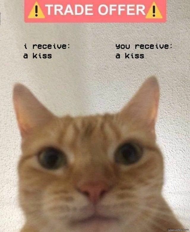 Funny Cat Trade Offer Meme: I Receive A Kiss You Receive A Kiss Funny Cat Trade Offer Meme: I Receive A Kiss You Receive A Kiss