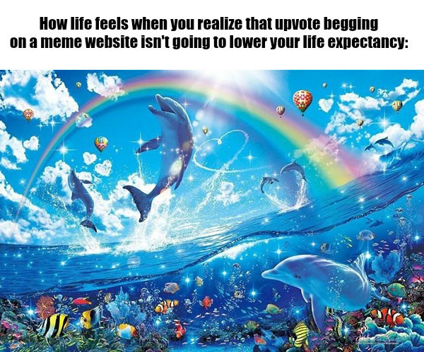 Rainbow Dolphin Meme: How life feels when you realize that upvote begging on a meme Rainbow Dolphin Meme: How life feels when you realize that upvote begging on a meme