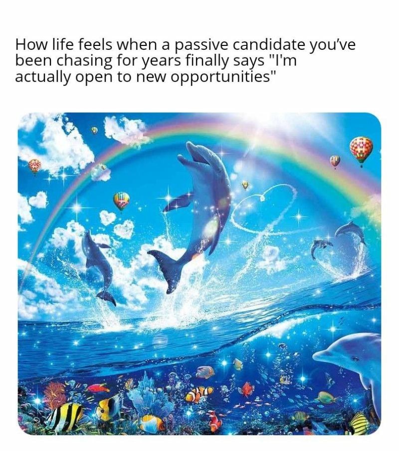 Rainbow Dolphin Meme: How life feels when a passive candidate you've been chasing for years Rainbow Dolphin Meme: How life feels when a passive candidate you've been chasing for years