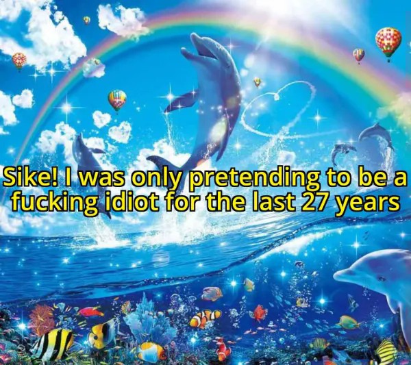 Rainbow Dolphin Meme: I was only pretending to be a fucking idiot for the last 27 years Rainbow Dolphin Meme: I was only pretending to be a fucking idiot for the last 27 years
