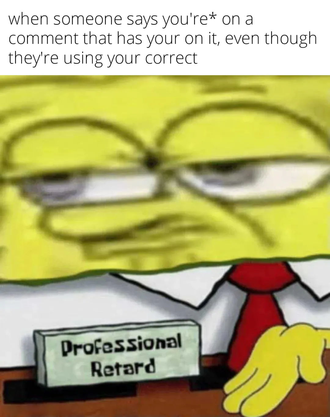 18 Funniest SpongeBob Professional Retard Meme Variations18