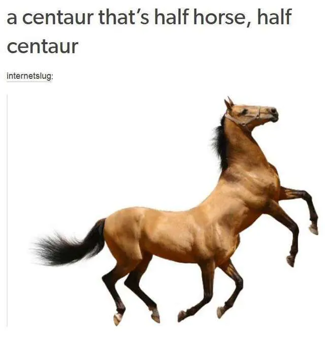 a centaur that's half horse, half centaur