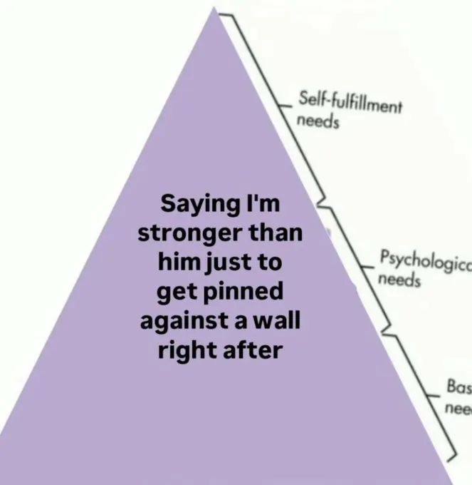 19 Hilarious Hierarchy of Needs Meme Examples & Template11