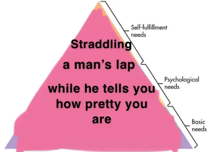 19 Hilarious Hierarchy of Needs Meme Examples & Template13