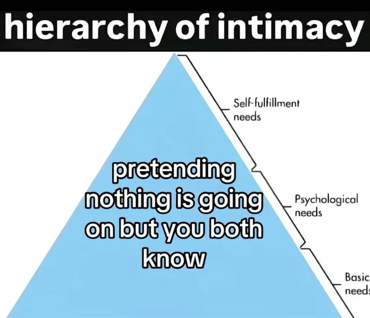 19 Hilarious Hierarchy of Needs Meme Examples & Template8
