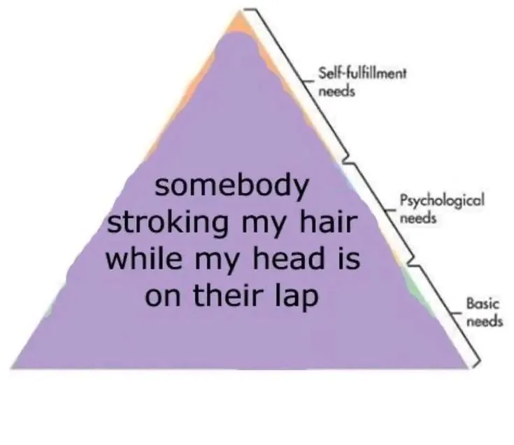 19 Hilarious Hierarchy of Needs Meme Examples & Template9