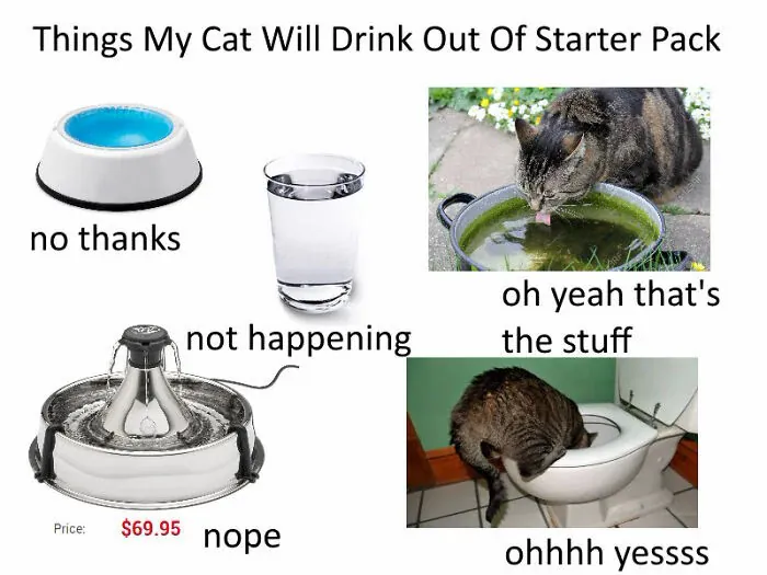 Things My Cat Will Drink Out Of Starter Pack / no thanks / not happening / oh yeah that's the stuff / Price: $69.95 nope / ohhhh yessss