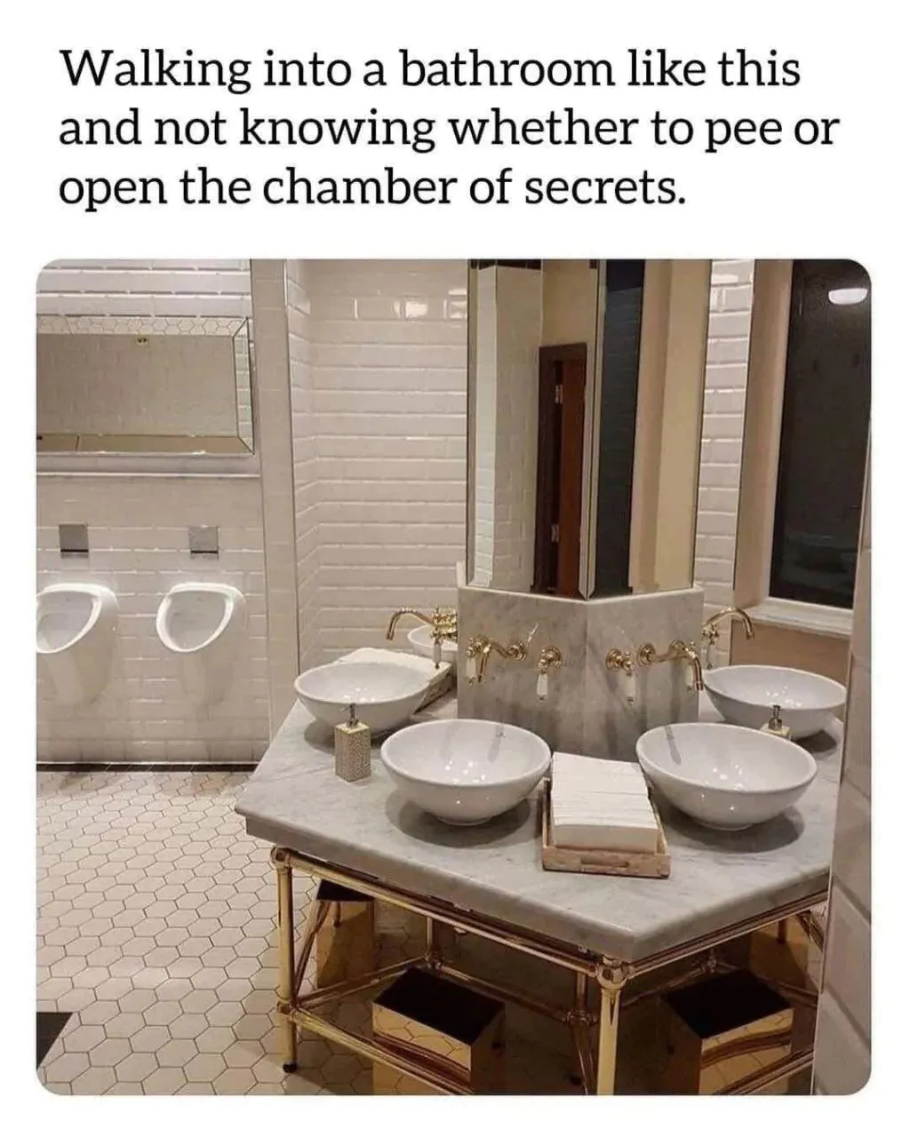 Walking into a bathroom like this and not knowing whether to pee or open the chamber of secrets.