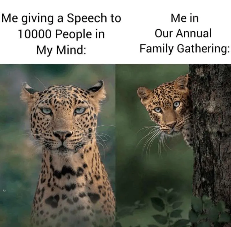 Me giving a Speech to 10000 Peopein My Mind / Me in Our Annual Family Gathering
