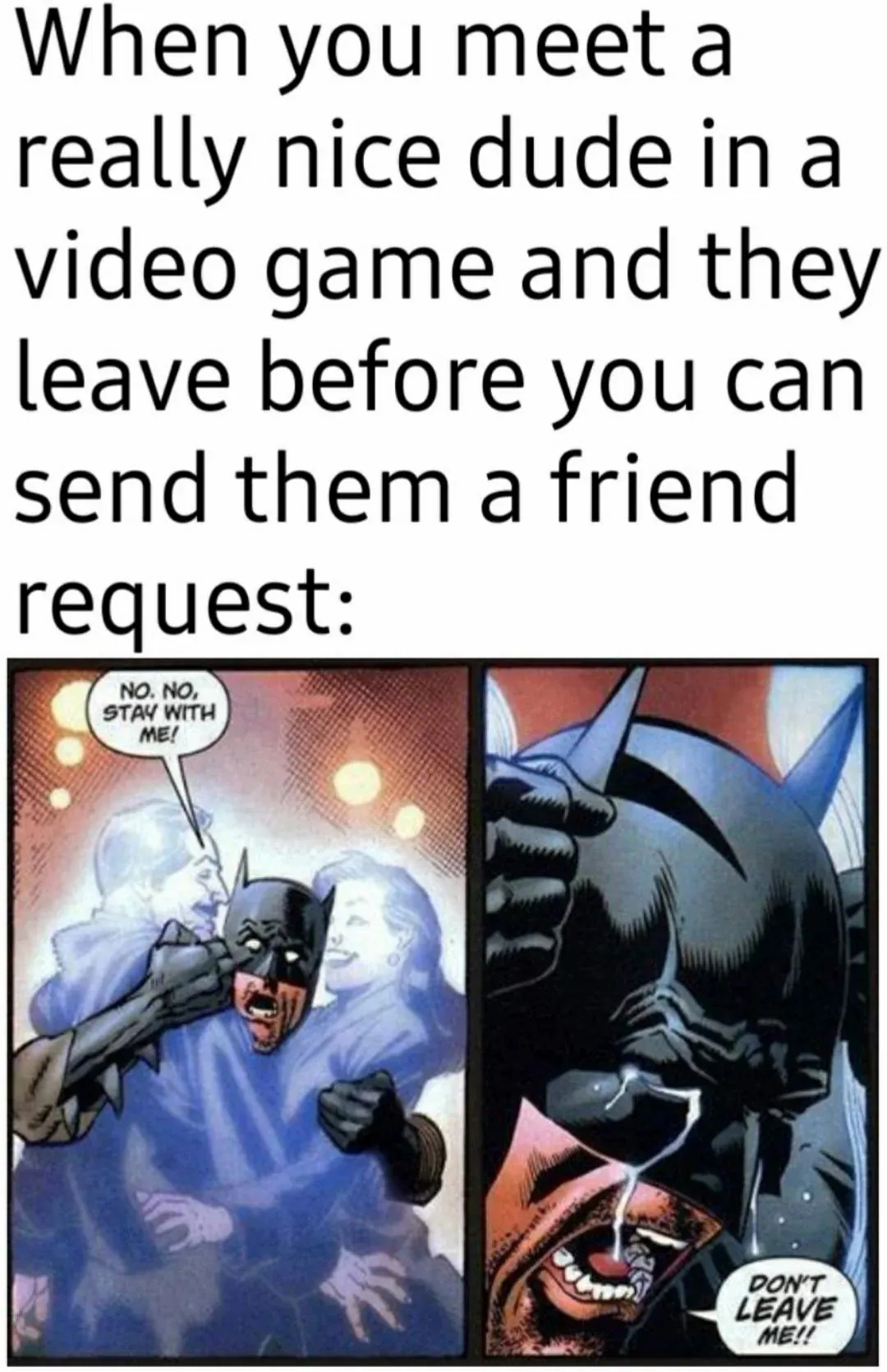 When you meet a really nice dude in a video game and they leave before you can send them a friend request: NO. NO, STAY WITH ME!DON'T LEAVE ME!!