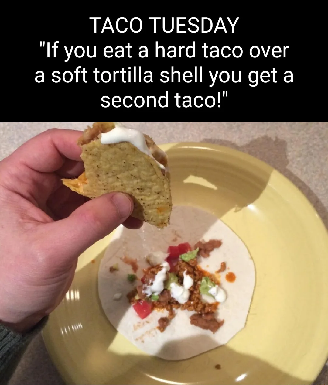 TACO TUESDAY "If you eat a hard taco over a soft tortilla shell you get a second taco!"