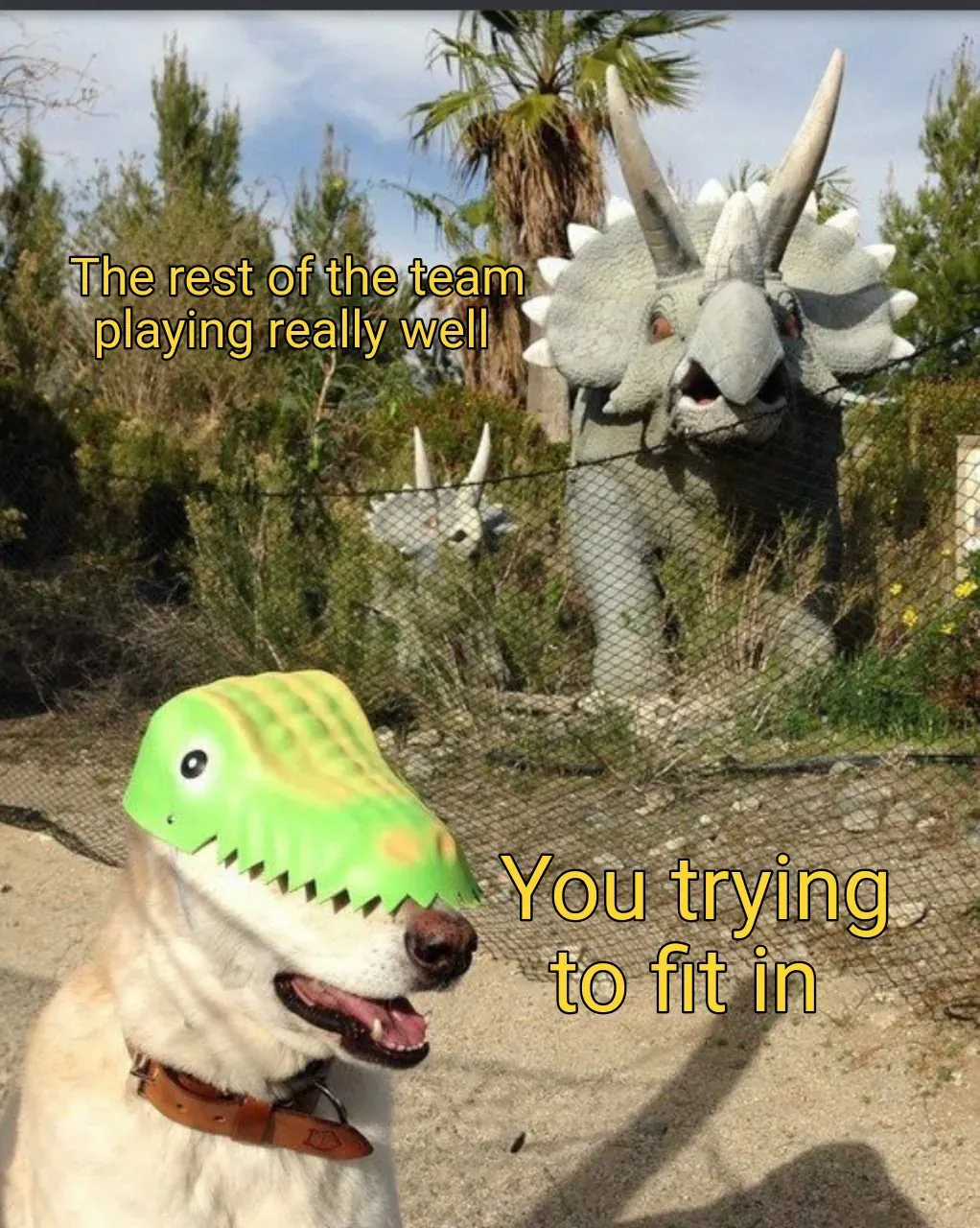 The rest of the team playing really well / You trying to fit in