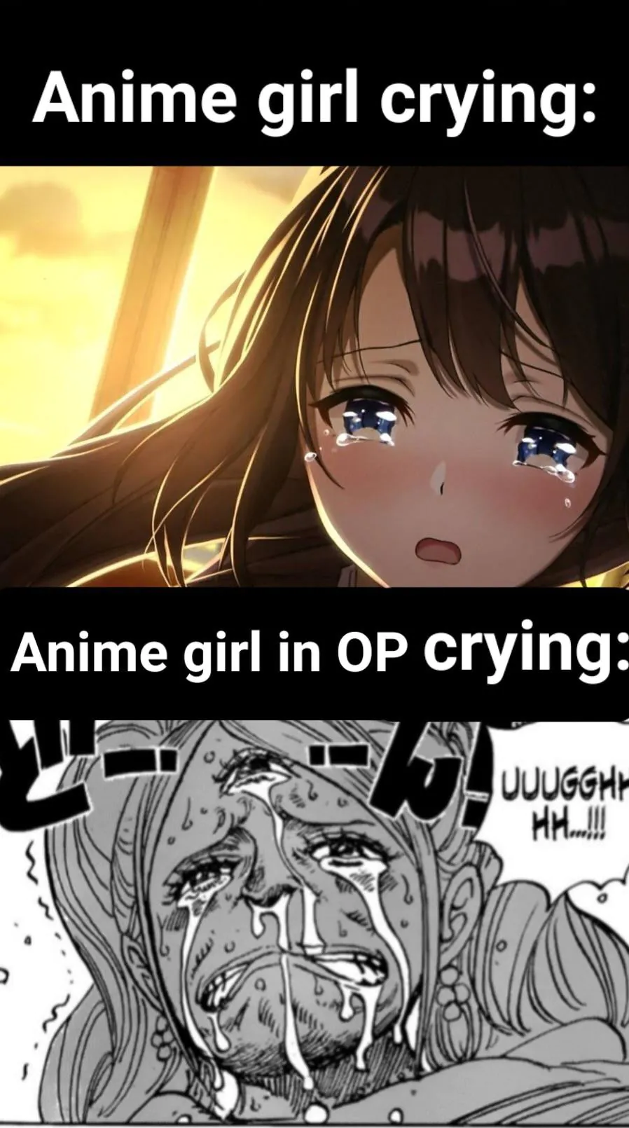Anime girl crying / Anime girl in OP crying