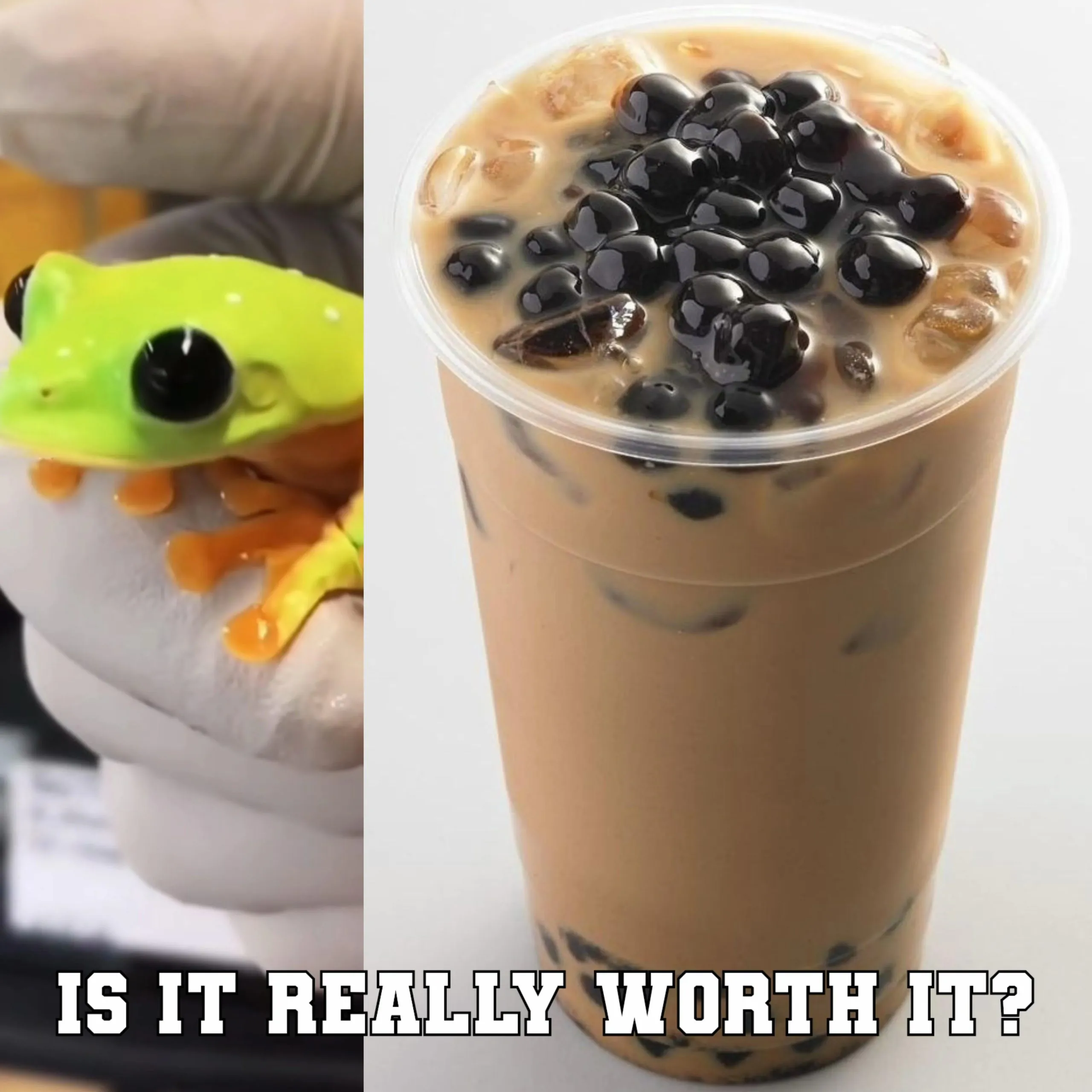 Frog and Boba Tea Meme: Is It Really Worth It?