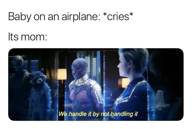Baby on an airplane: *cries* Its / mom: We handle it by not handling it