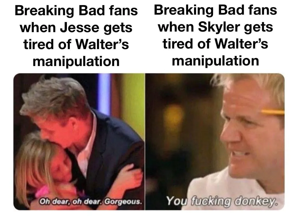 Breaking Bad fans when Jesse gets tired of Walter's manipulation: Oh dear, oh dear. Gorgeous. / Breaking Bad fans when Skyler gets tired of Walter's manipulation: You fucking donkey.