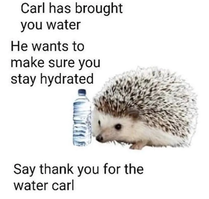 Carl has brought you water / He wants to make sure you stay hydrated / Say thank you for the water carl