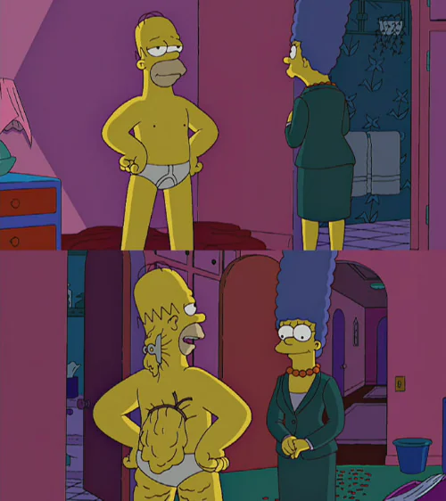 Homer Simpson's Back Fat Meme
