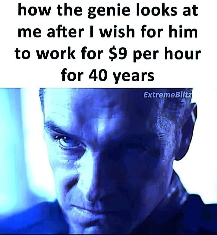 how the genie looks at me after I wish for him to work for $9 per hour for 40 years